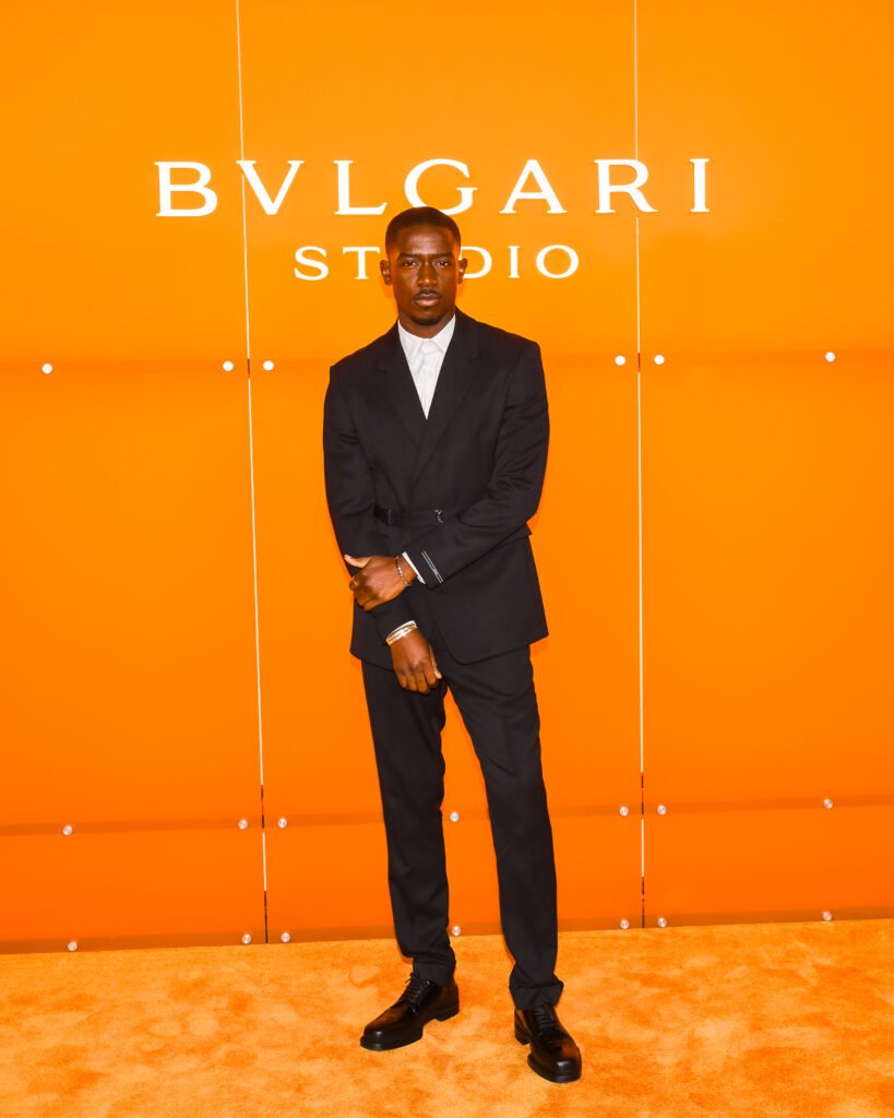 bvlgari studio